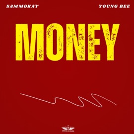 Money (feat. Young bee) Sammokay