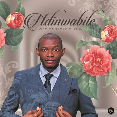 Ndonwabile (feat. iZion) - Single