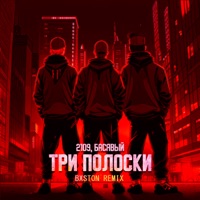 Три полоски (Bxston Remix) - Single - 2109 & Басявый