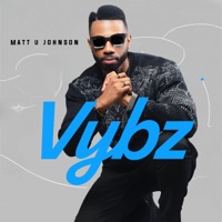 Vybz - Single - Matt U Johnson