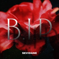 B.I.P - Single - Sevidane