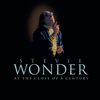 Stevie Wonder - We Can Work It Out artwork