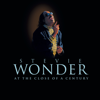 At The Close Of A Century - Stevie Wonder