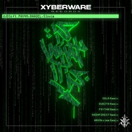 Is What It Is (Frythm Remix) djD3o, PAV4N, RAAQEL & Slowie