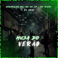 MUSA DO VERÃO (feat. Dj Odio) - Single - Andarilho MC, Mc Ws Sp & MC Miami