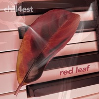 Red Leaf - Single - Chill4est