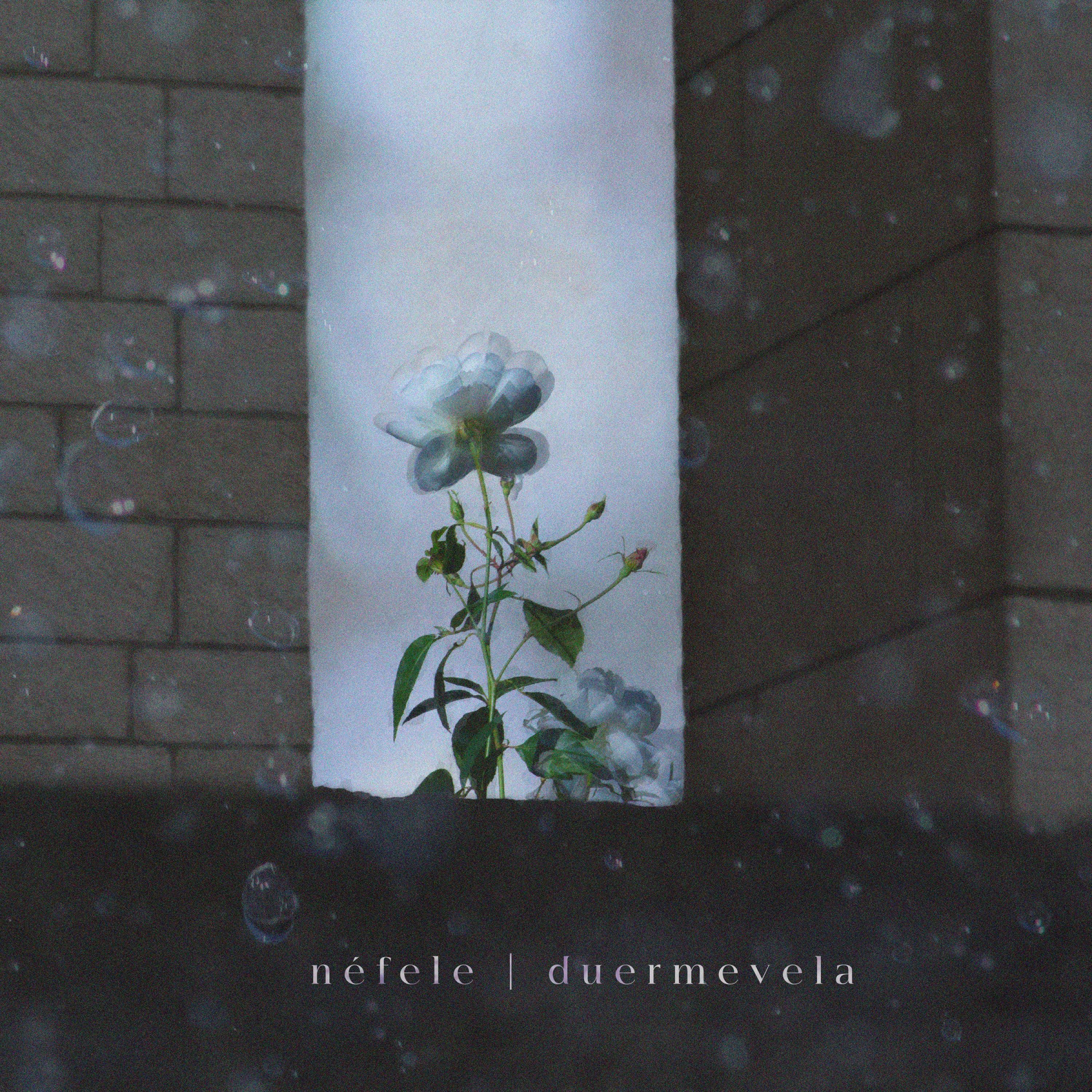 Duermevela - Single