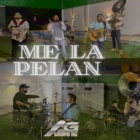 Me La Pelan (En Vivo) - Single - Grupo AG