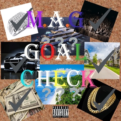 Goal Check - Single