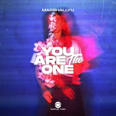 You Are the One - Single