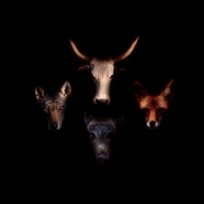 MAREMMAN RHAPSODY - Single