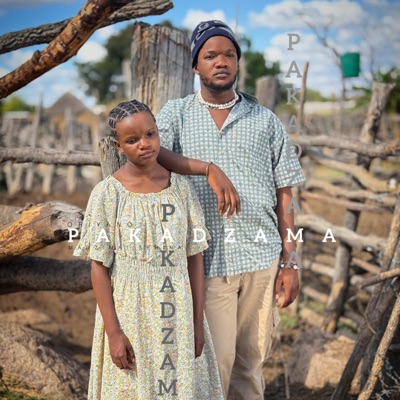 Pakadzama(Sahwira wemoyo) - Single