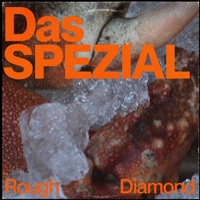 Rough Diamond Feat. Reign MC - Single - Das SPEZIAL & Reign MC