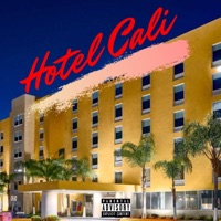 Hotel Cali - Single - Trippy Snake