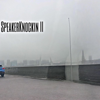 SpeakerKnockinII