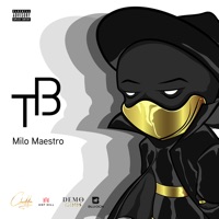 THOUGHT PROCESS 3 - EP - Milo Maestro