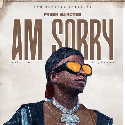 Am sorry - Single