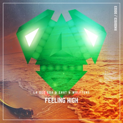 Feeling High - Single