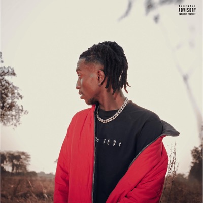iNTRoVERt - Single