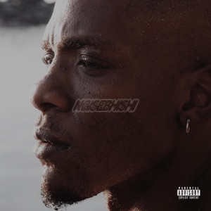 ngisebhishi - Single