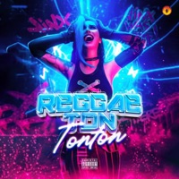 Reggaeton ton ton (feat. Yarel el lobo, Noizy Black, SGYEZ & Melkox$) - Single - Dipper el Misterio