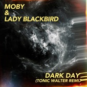 dark days (Tonic Walter Remix) artwork