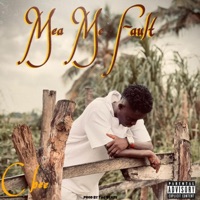 MEA ME FAULT - Single - Cbee official
