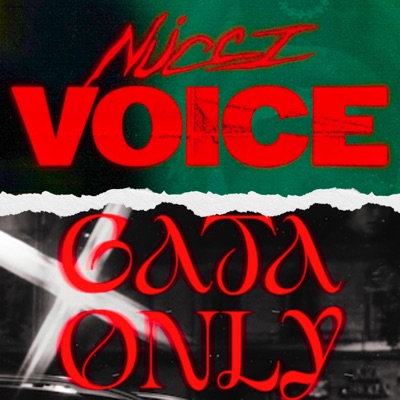 PA3X - VOICE x GATA ONLY (PA3X Remix)