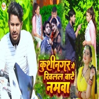 Kushinagar Me Khilal Bate Namawa - Single - Bhushan Bedardi, Kanha Singh & Ad Aman