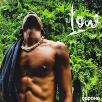 Low Rapcha (Instrumental) - Single - Wizzo808