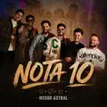 NOTA 10