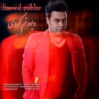Divoonam Kardi - Single - Hamed Pahlan