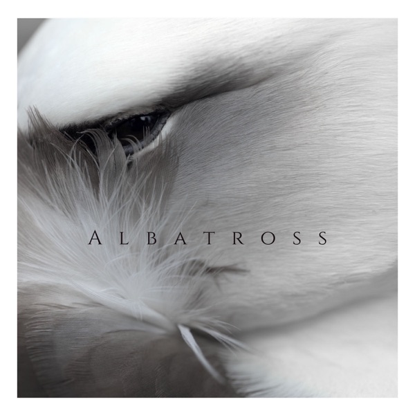 Albatross - Single