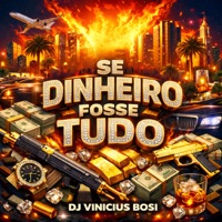 SE DINHEIRO FOSSE TUDO - Single - Dj Vinicius Bosi