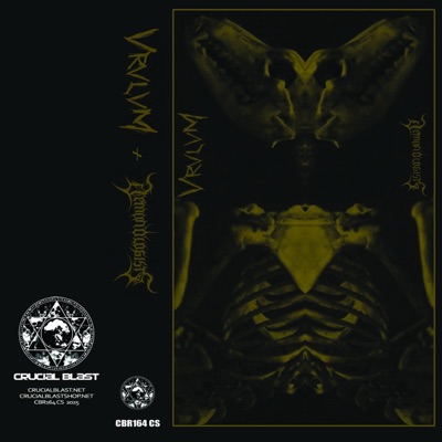 Split w/ VRVLVM - EP