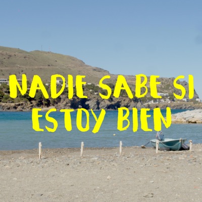 Nadie Sabe Si Estoy Bien (feat. Paula Eijo) - Single