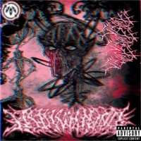 NIGHTWALKER! - Single - Semtexxx
