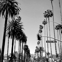 Act Up (feat. YMM LIL MOE) - Single - YMM ALMIGHTY