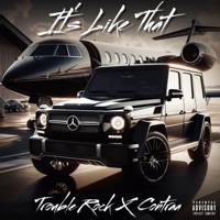 Its like that (feat. Contraa) - Single - Troublerock