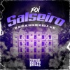 Foi Salseiro (feat. MC Jeh VSS) - Single