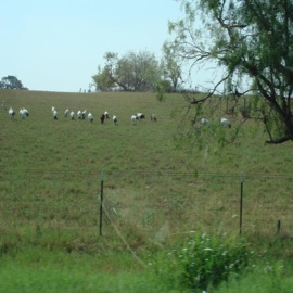 sweet release Quentin Heartz