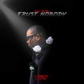Trust Nobody artwork