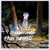 Pain Turned Gold - Iamyungp