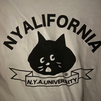 letter for you (feat. laapeyt) - Single