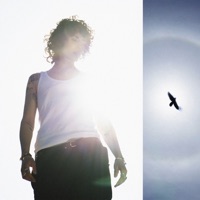 x. ave: renacer - Single - Alice Wonder