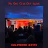 Pinned Leaves