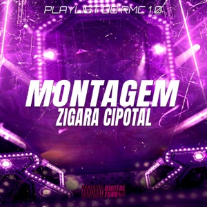 Montagem Zigara Cipotal