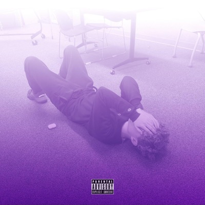 SiPPiN - Single