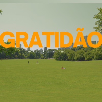 Gratidão - Single