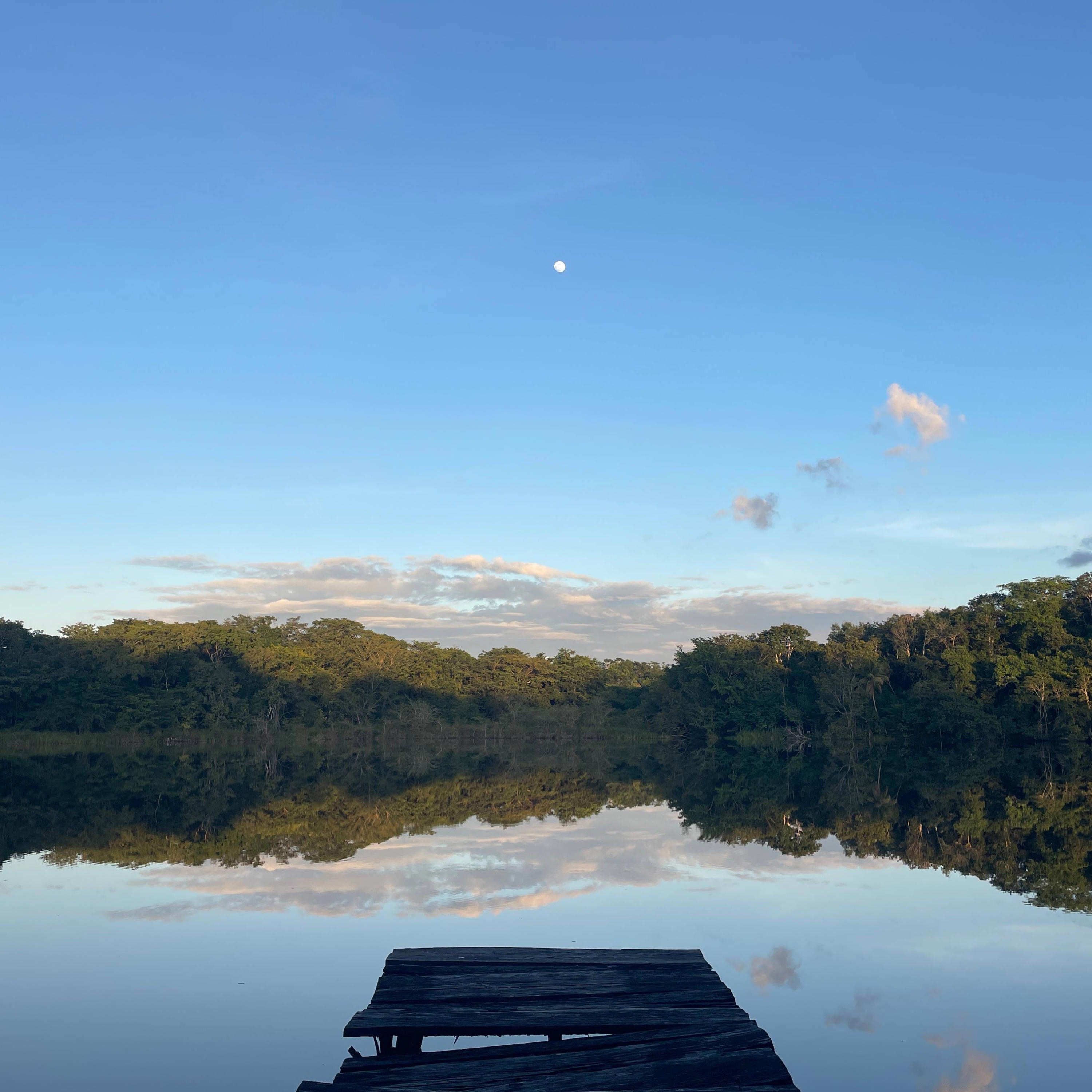 Connecting with Old Friends - Single